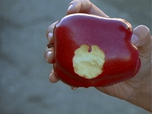 Gap Tooth Apple copy