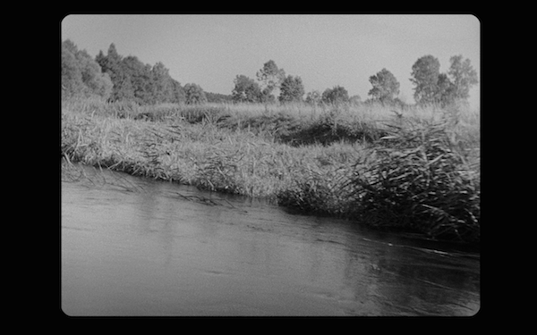 The riverbank could be an impressionist painting.