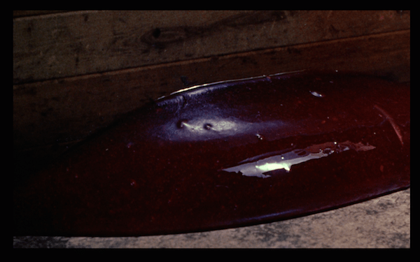 1958. Oozing under the door.