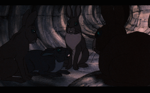 Inside the Efrafa burrow.