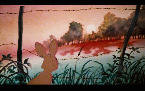 Fiver has a second sight that shows doom is coming.