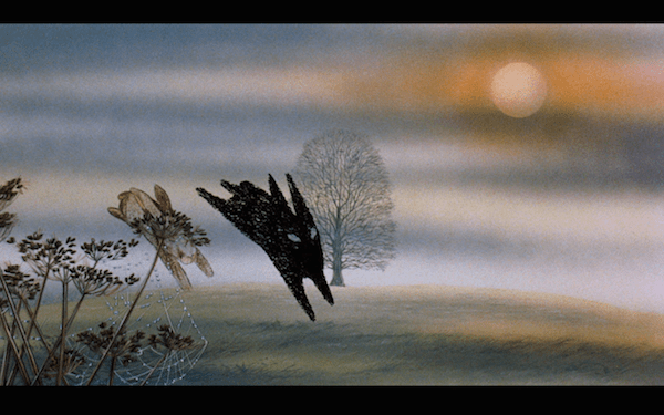 Hazel and the Black Rabbit. Truly free.