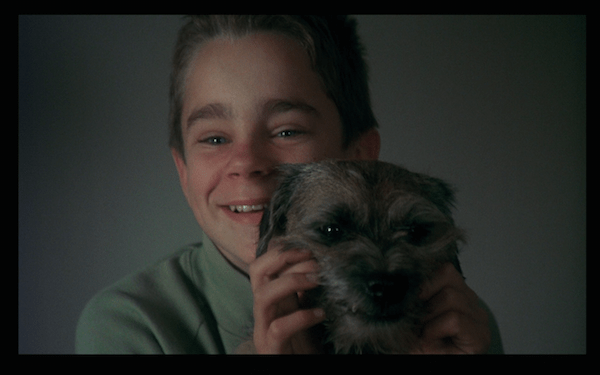 my life as a dog - ingemar happy w dog