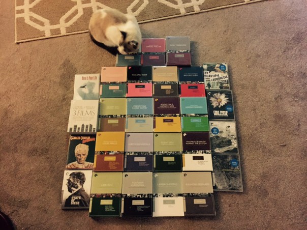 Total Eclipse of the Cat