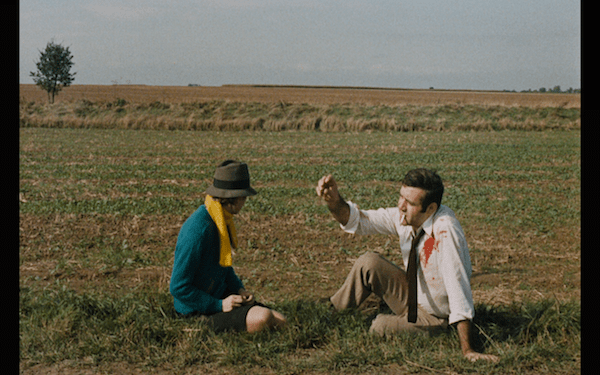 weekend - in a field