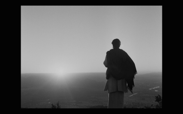 apur sansar - facing sunlight