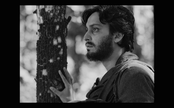 apur sansar - in woods