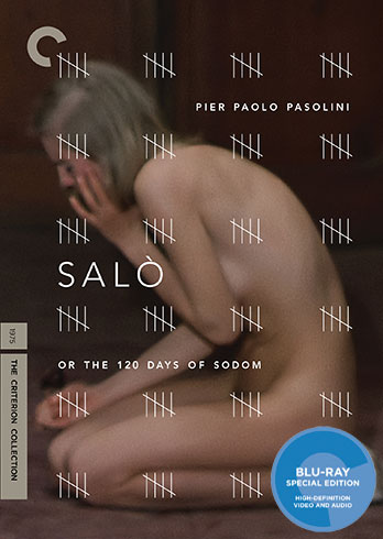 17_BD_box_348x490_original